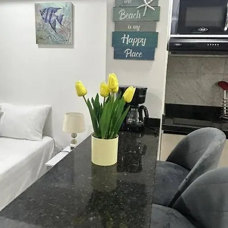 Moderno Y A Pasos Del Aeropuerto Apartment *
